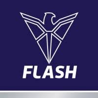 Flash Electronics India Pvt. Ltd. Flash Electronics India Pvt. Ltd.